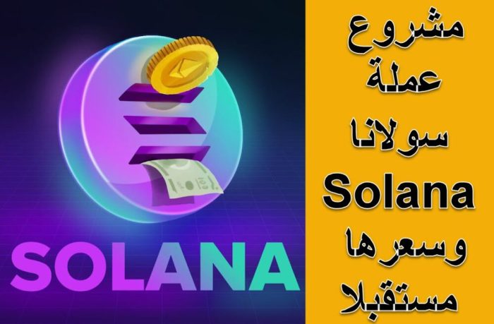 تفاصيل مشروع عملة سولانا Solana وسعرها مستقبلا ومنصات شراءها